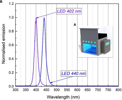 Riboflavin- and chlorophyllin-based antimicrobial photoinactivation of Brevundimonas sp. ESA1 biofilms